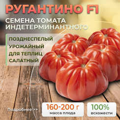 РУГАНТИНО F1 семена томата (Rijk Zwaan | Alexagro)