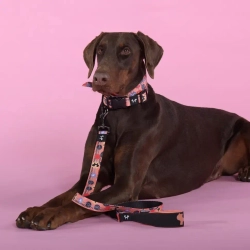 United pets complete me forever поводок для собак, 140 см, 16 мм, оранжевый с рисунком