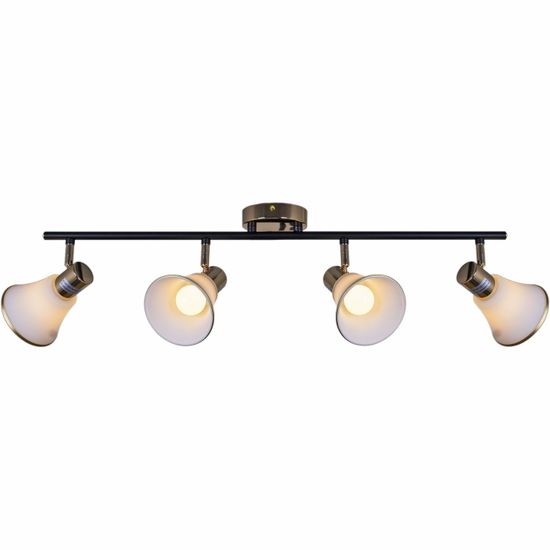 05901-0.8-04 BK+FGD светильник потолочный