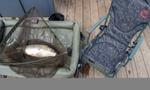 Кресло рыболовное "Carp Hammer Comfort Lite" с подлокотниками и регулируемой спинкой
