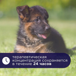 Антибактериальный препарат АВЗ Ципровет для крупных и средних собак, 10 таблеток