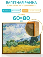 Металлическая багетная рама 80х60 см