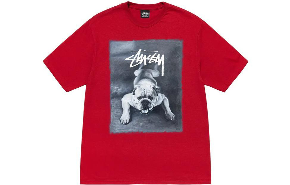 Футболки Stussy FW22 T, 1904844