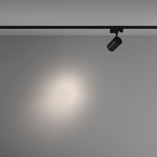 Трековый светильник Technical TR029-3-10W4K-S-B