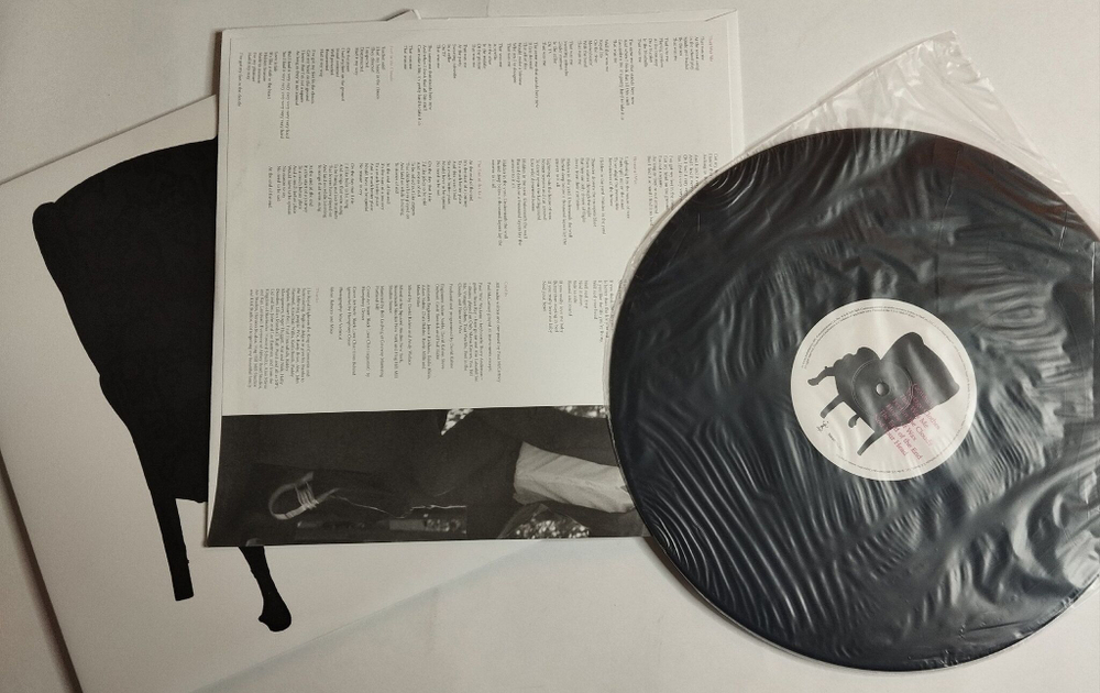 Винтажная виниловая пластинка LP Paul McCartney Memory Almost Full (USA 2007)