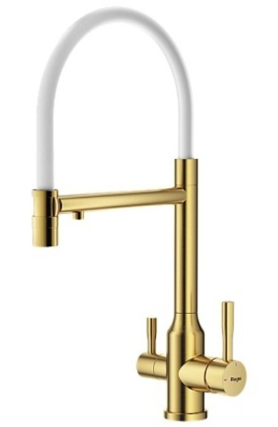 Смеситель для кухни со съемным изливом на магните и подключением фильтра питьевой воды R81.63.03