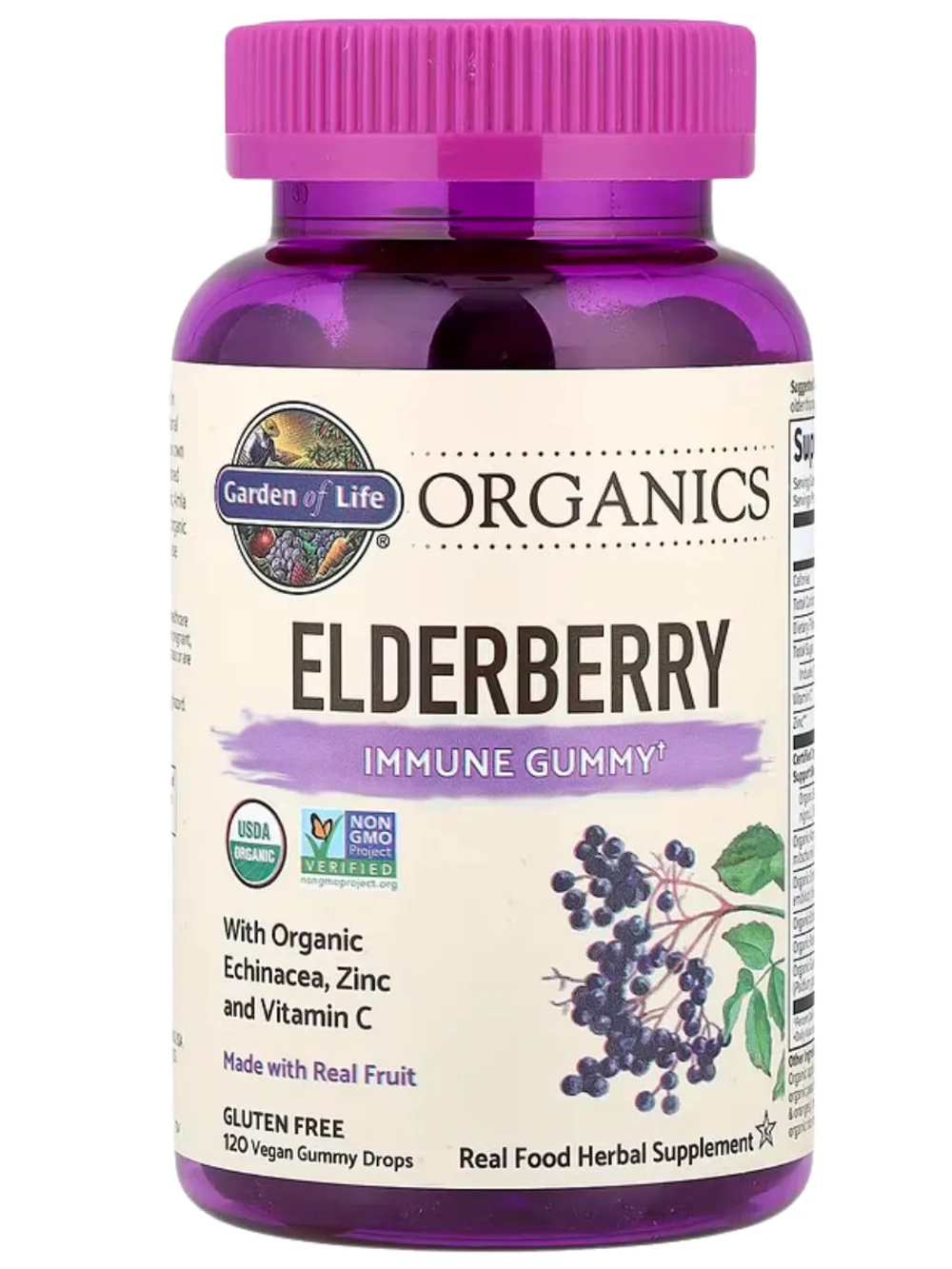 Organics Бузина 120 жевательных таблеток