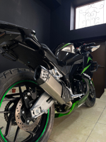 Cavalo Panigale Replica