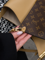 Louis Vuitton Low Key Hobo