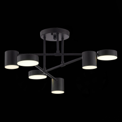 Светильник потолочный Evoluce Nobel SLE201042-06