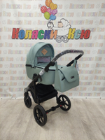 Коляска модульная Adamex Nola N-PS122