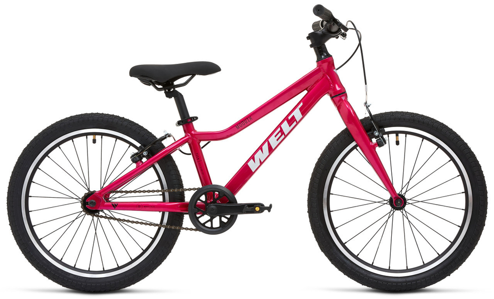 Детский велосипед Welt Moovix 1.0 20 V (2025)