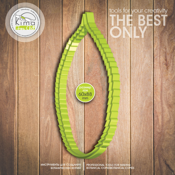 Яблоня лист большой