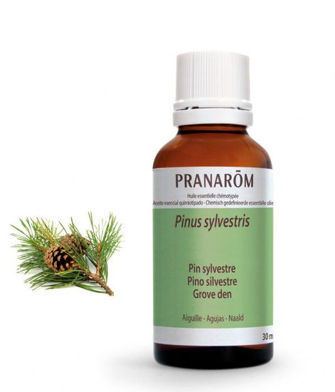 Натуральное эфирное масло Сосна, Pranarom