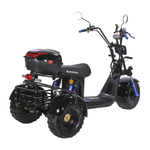 Электроскутер CityCoco SKYBOARD BR40-3000 OFF-ROAD Trike