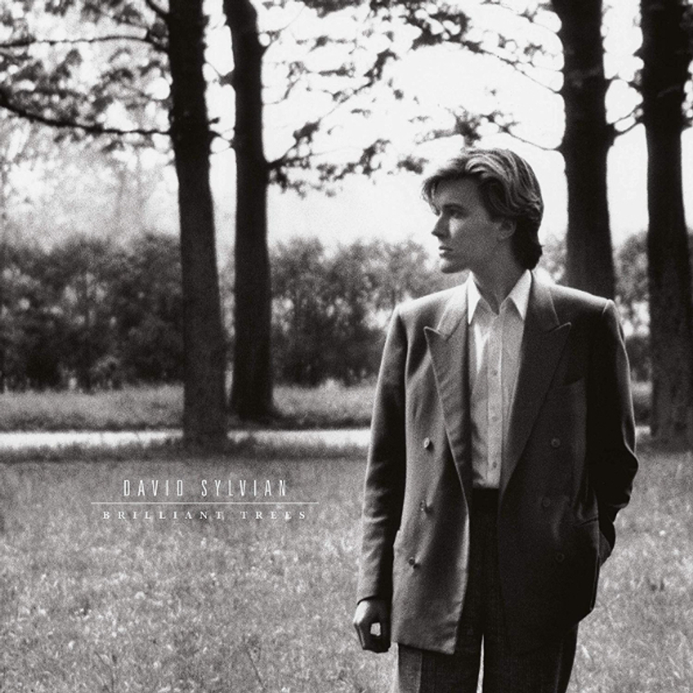 David Sylvian / Brilliant Trees (LP)