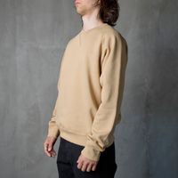  Толстовка мужская Carhartt WIP Chase Sweatshirt артикул:I033660_sable - купить в магазине Дайс