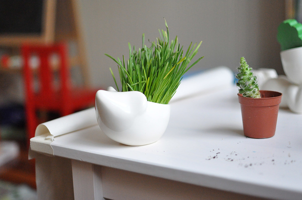 Набор для выращивания eco Ёжик