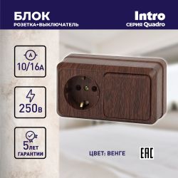 Блок розетка с выключателем Intro Quadro 2-701-10 горизонтальный 10А-250В, IP20, ОУ, венге