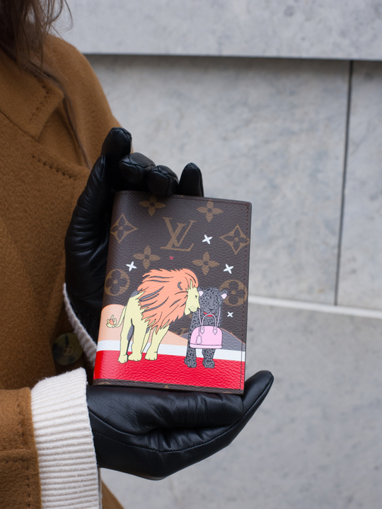 Обложка для паспорта