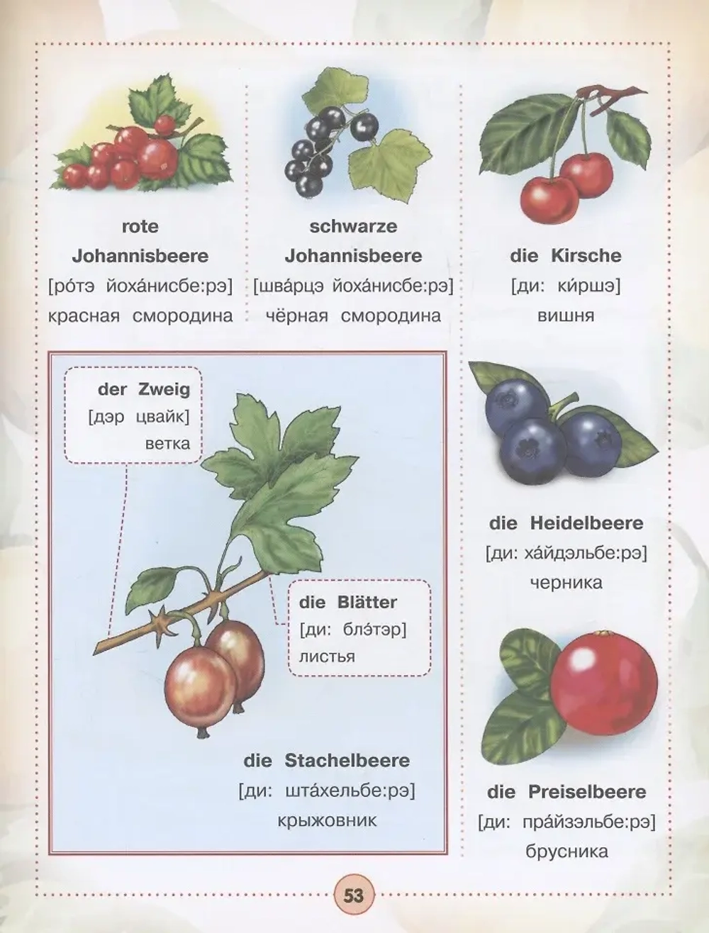 Немецко-русский визуальный словарь для детей