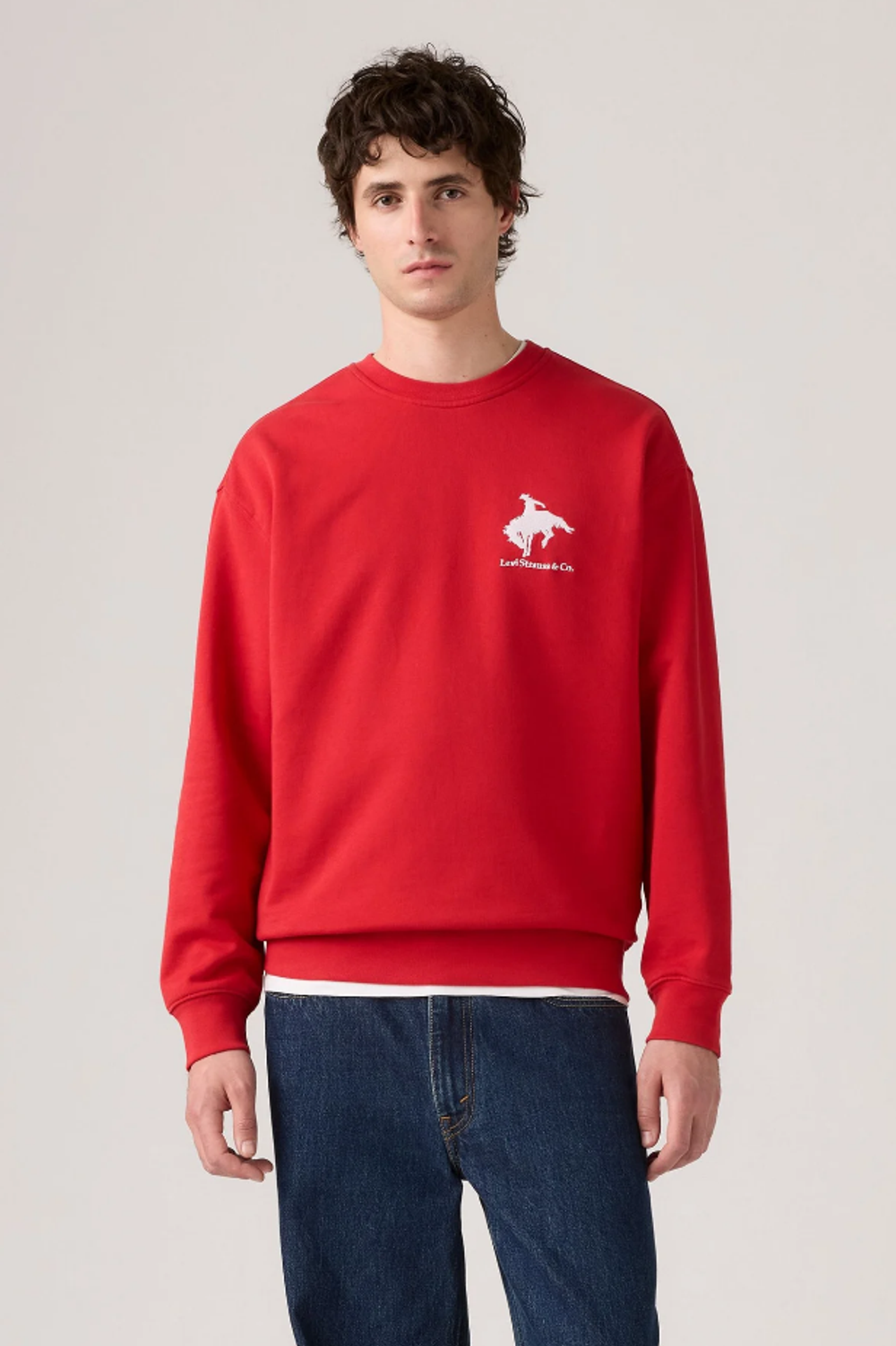 Толстовка мужская LEVI'S RELAXD GRAPHIC CREW