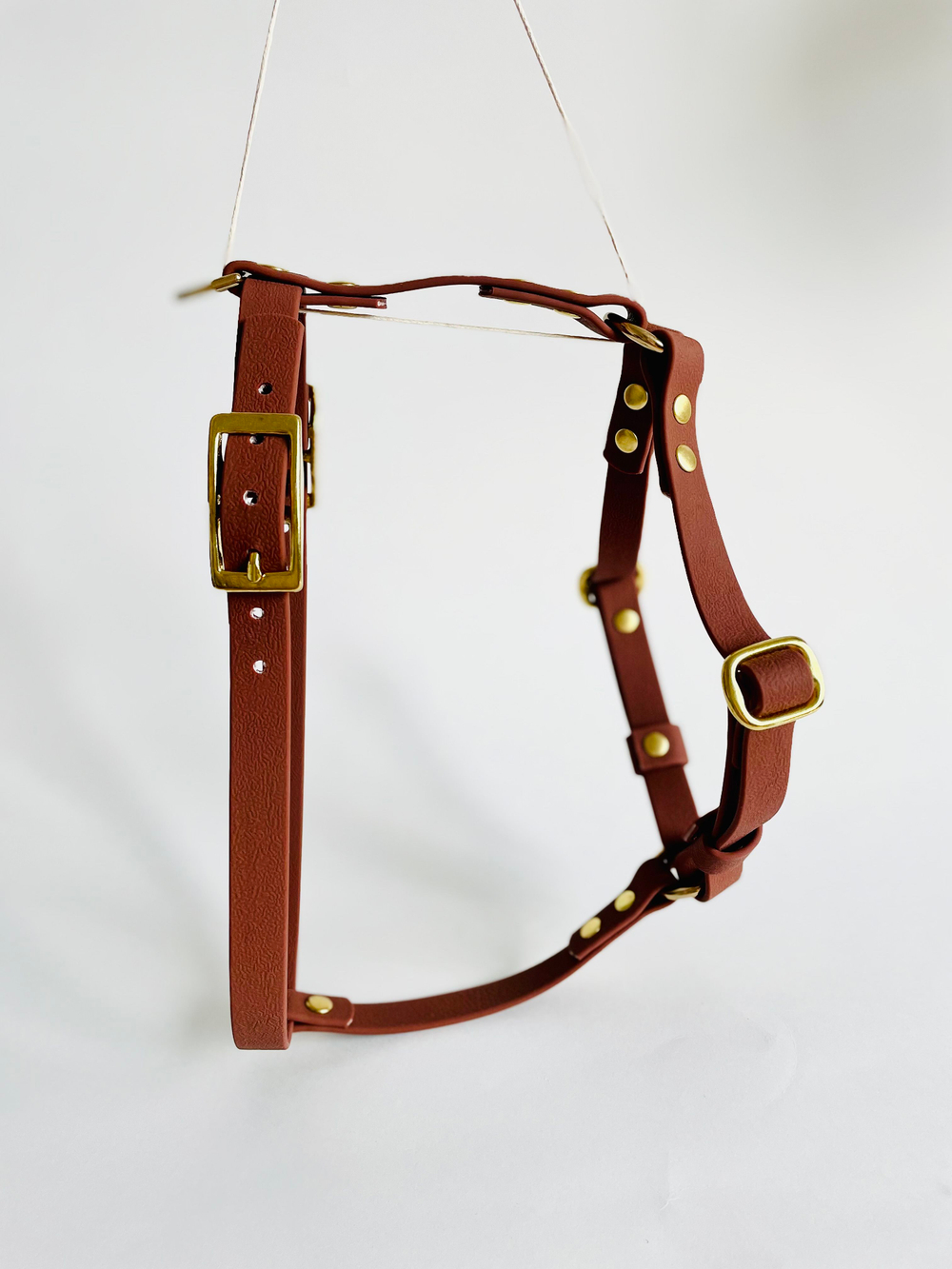 Шлейка из биотана на латунной фурнитуре , s , 15 мм, цвет Мокко под кожу