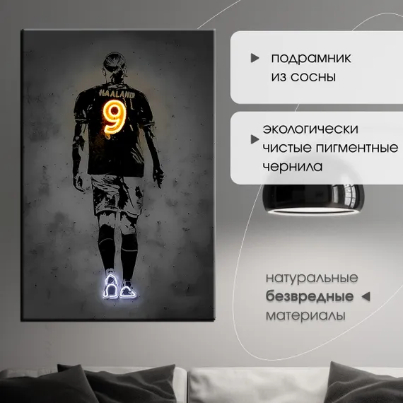 Постер "Haaland"