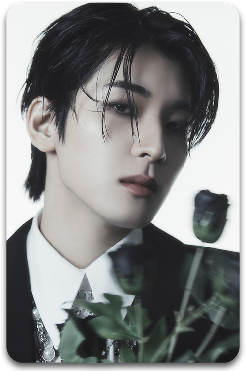 Карта #0315 / Wonwoo (SEVENTEEN)