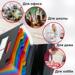 Папка-органайзер для бумаг и документов на резинке 13 отделений BRAUBERG DOCS А4 черная (2 штуки в упаковке)