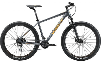 Велосипед WELT Rockfall SE Plus (2021)