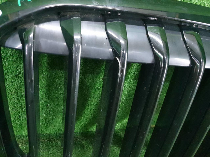 Решетка радиатора BMW X7 G07 (2019-2022)