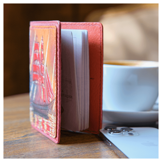 Чехол на паспорт «Городские мотивы» розовый