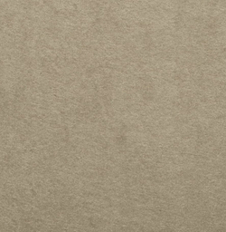 Микровелюр Амур 03