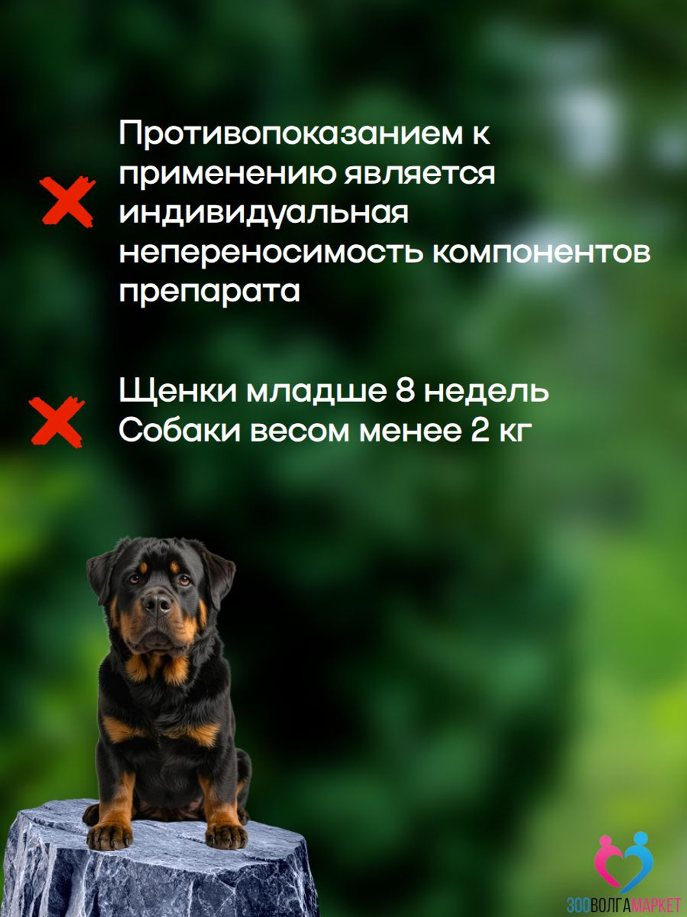 Бравекто (Bravecto) 1000 мг жевательная таблетка для собак весом 20-40 кг, против блох и клещей
