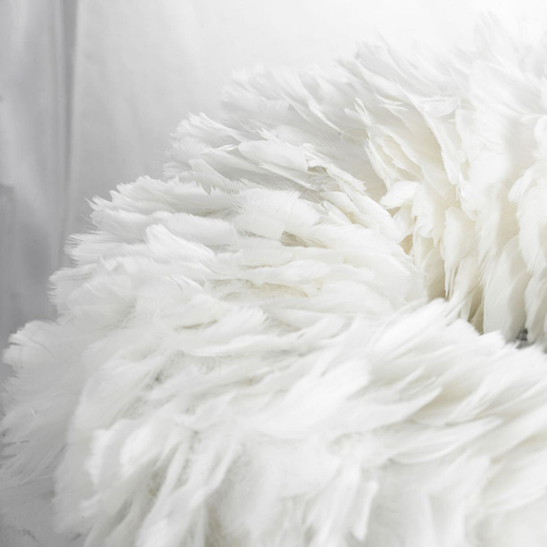 Люстра Lussole GRLSP-8602