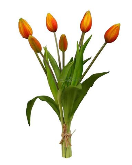 Букет закрытых тюльпанов 4+3 - Оранжевый