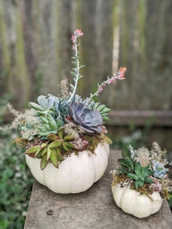 Framing Floral Techniques: Floral Design Skill Building, Inspirations & Explorations