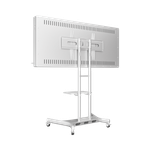 Интерактивная панель Horizon Scan c документ-камерой 55"