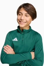 Кофта adidas Entrada 26 Training Top Junior - зеленый