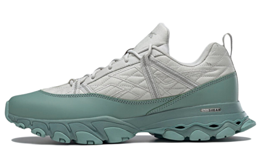 Кроссовки Reebok Dmx Trail Shadow