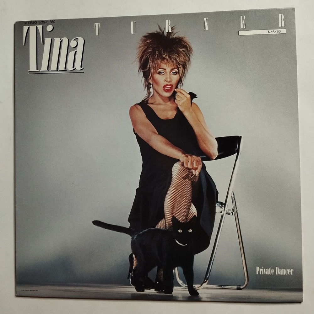 Винтажная виниловая пластинка LP Tina Turner Private Dancer (Japan 1984) (No Obi)