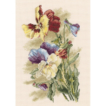 "Фиалка виттрока"-M522  вышивка