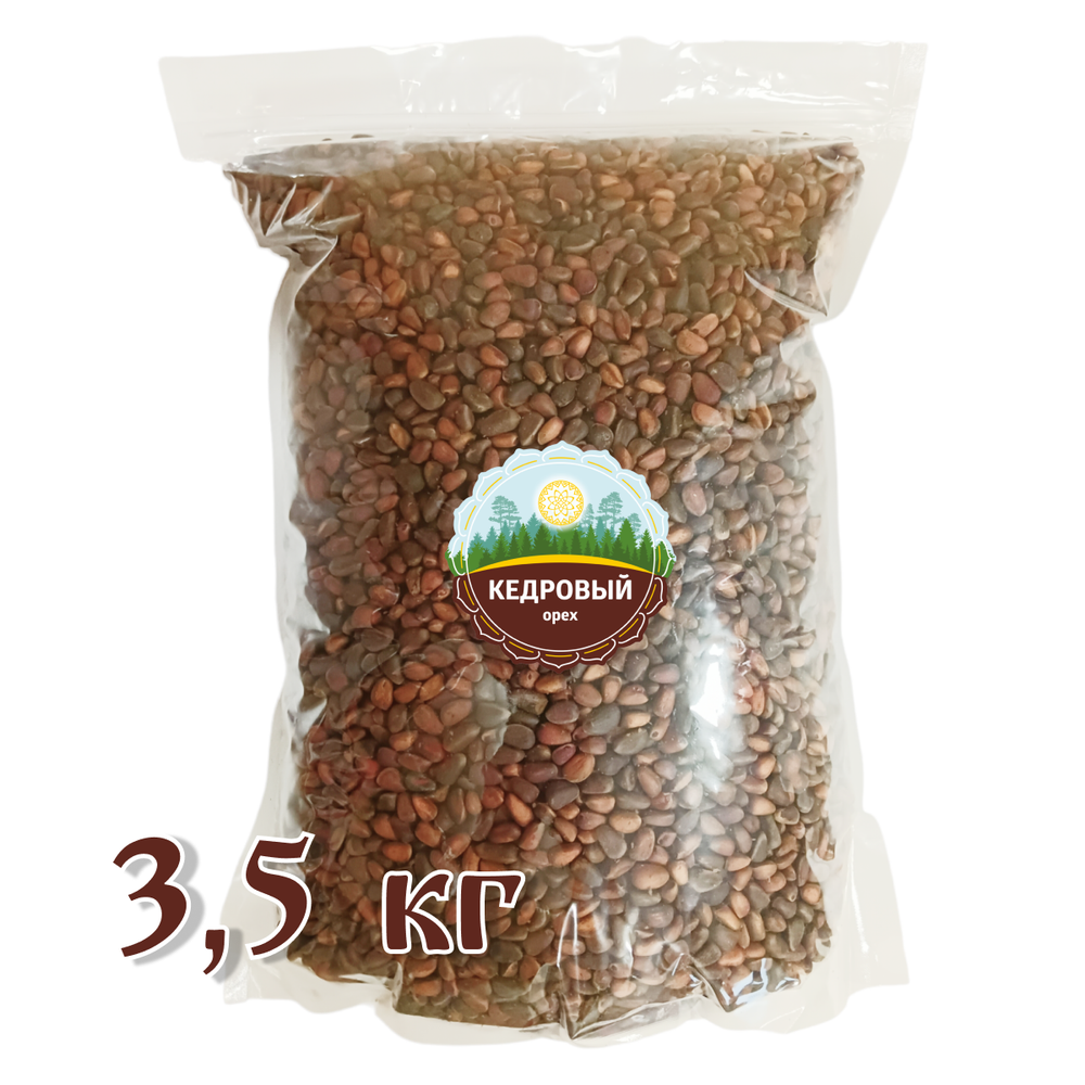 Орех кедровый Алтайский