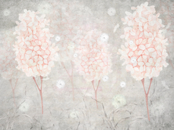 Коллекция SERENE