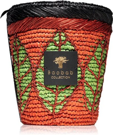 Baobab Collection Hazo Noely - ароматическая свеча /  16 cm   / GTIN 5415198489288