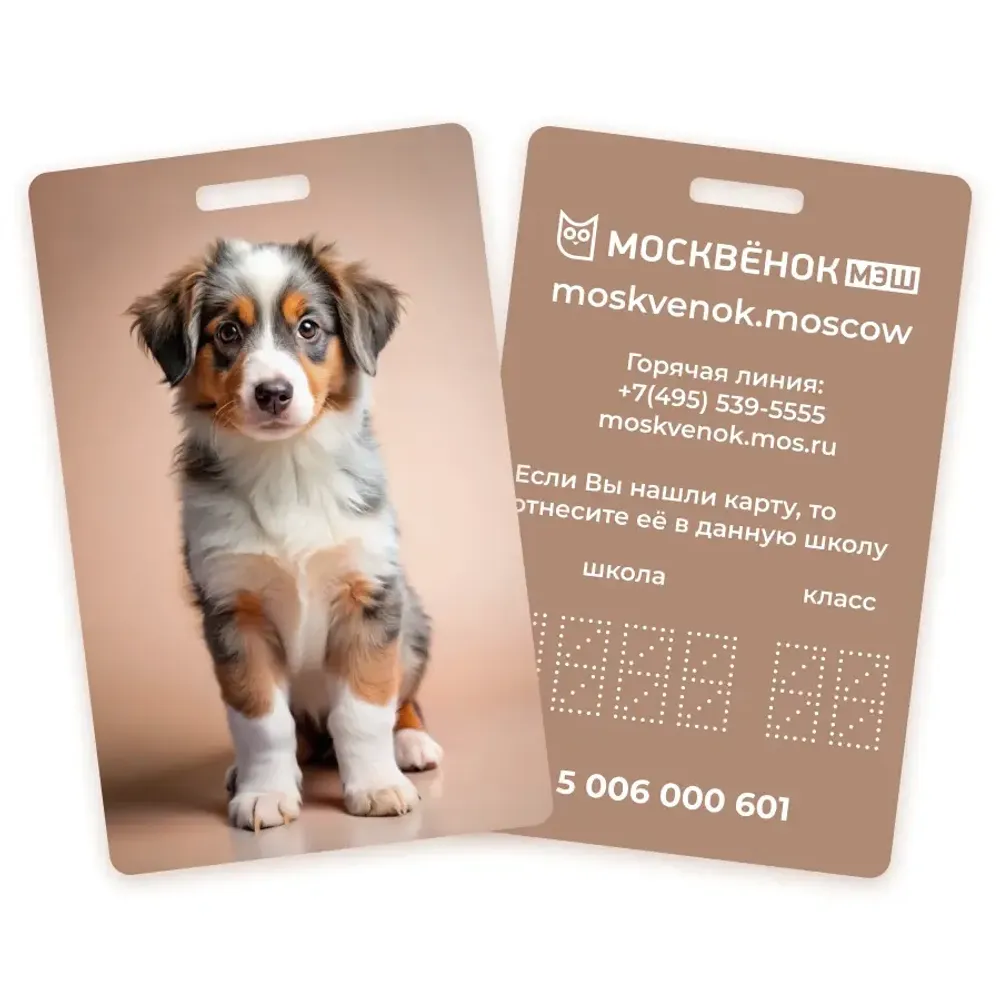 Карта Москвёнок DOGS №3 (проход + питание)