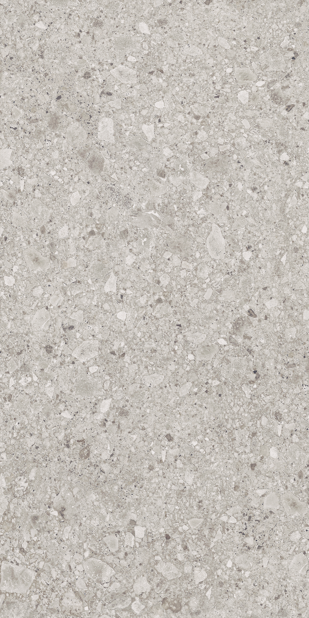 Керамогранит, LB Ceramics, Иней, 600x1200 мм, Серый, Матовая, Плоская