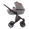 Коляска ANEX e/type 3 в 1 (et-03A) gothic