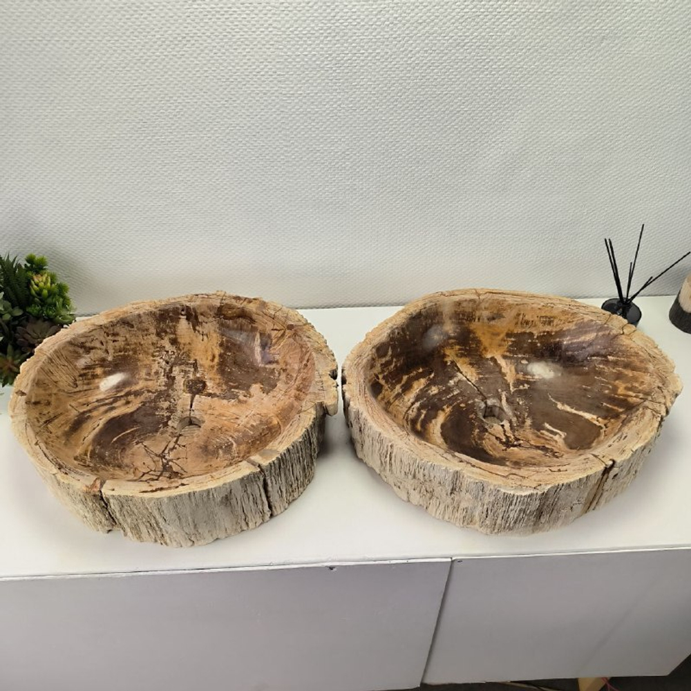 Раковина из окаменелого дерева OD-62102 56*47*15